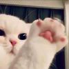我是你爹-【TITAIKE】T太科网
