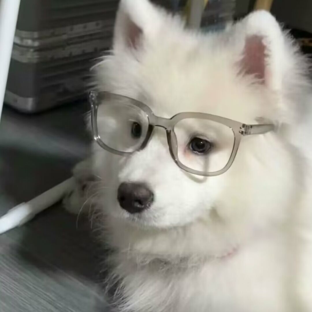 qq_愿做爱情的狗84