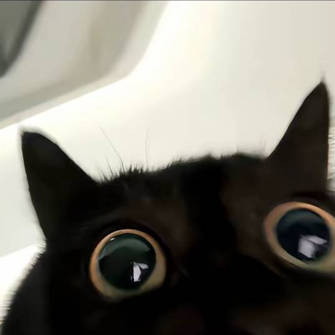 qq_.72