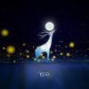 hana0322-技术经验分享-星泽V社