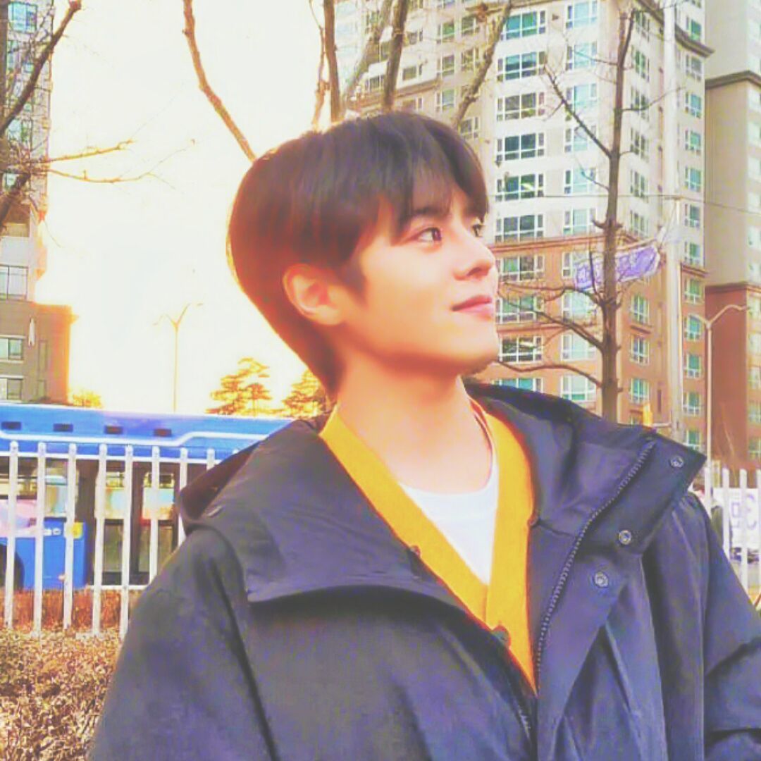 qq_SHINE48