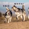 夏天-KK音频资源网