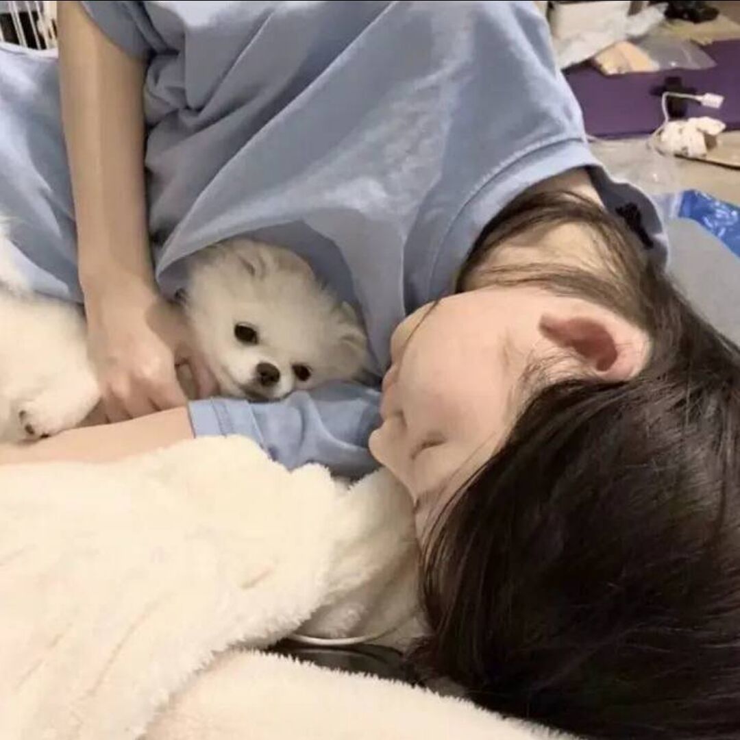 qq_凉拌卤蛋42