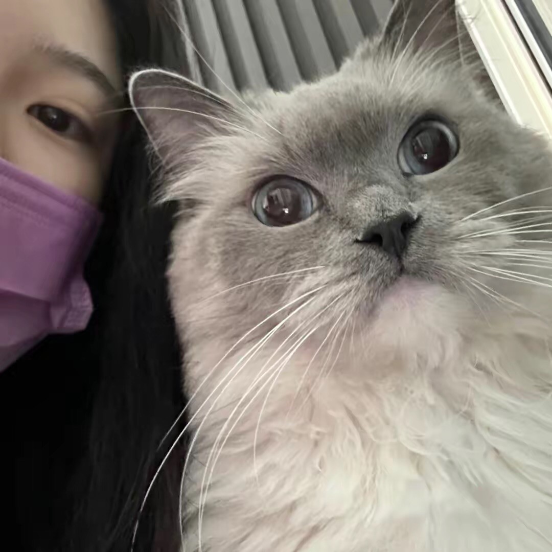 qq_伞猫盐58