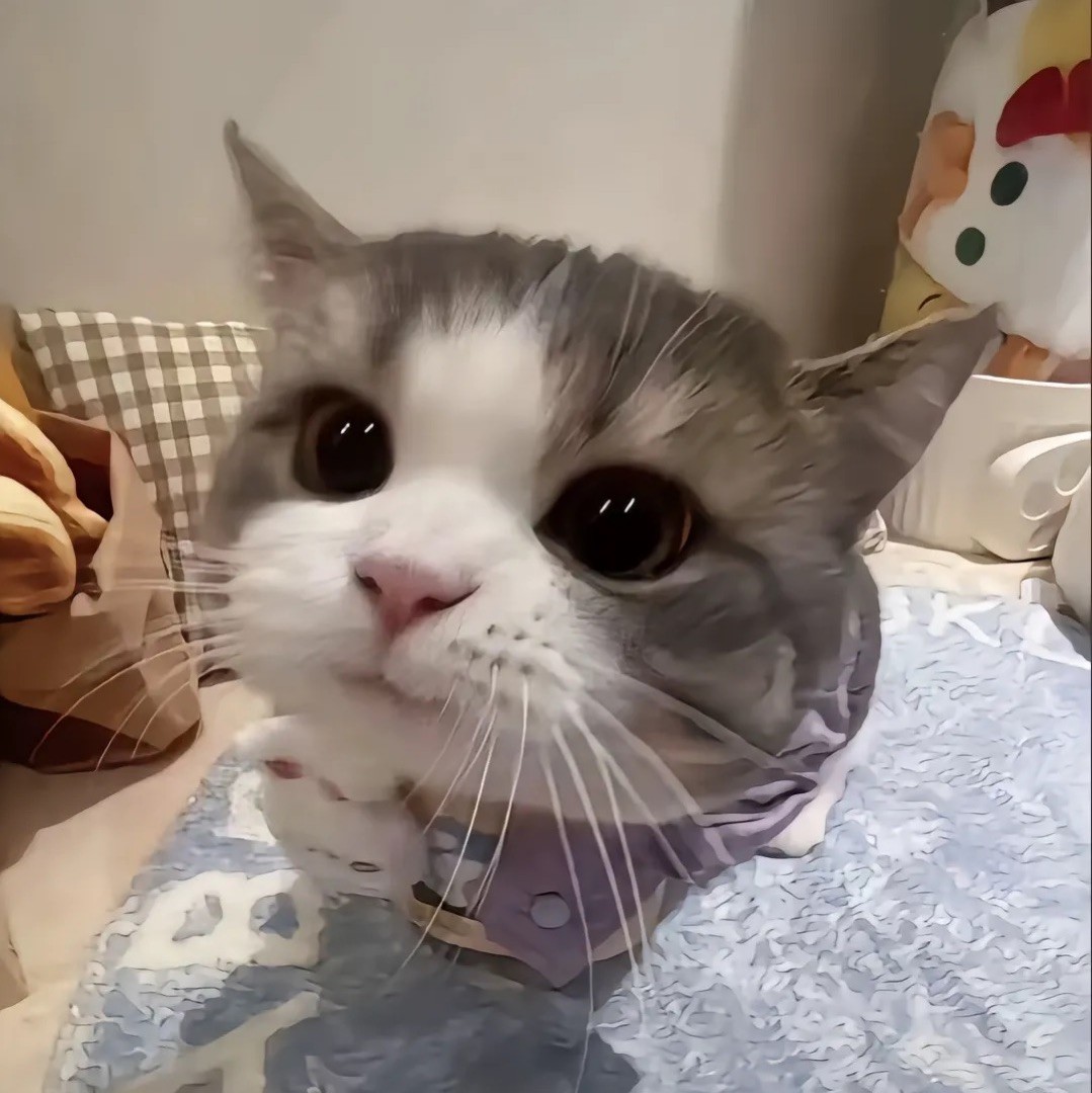 用户头像