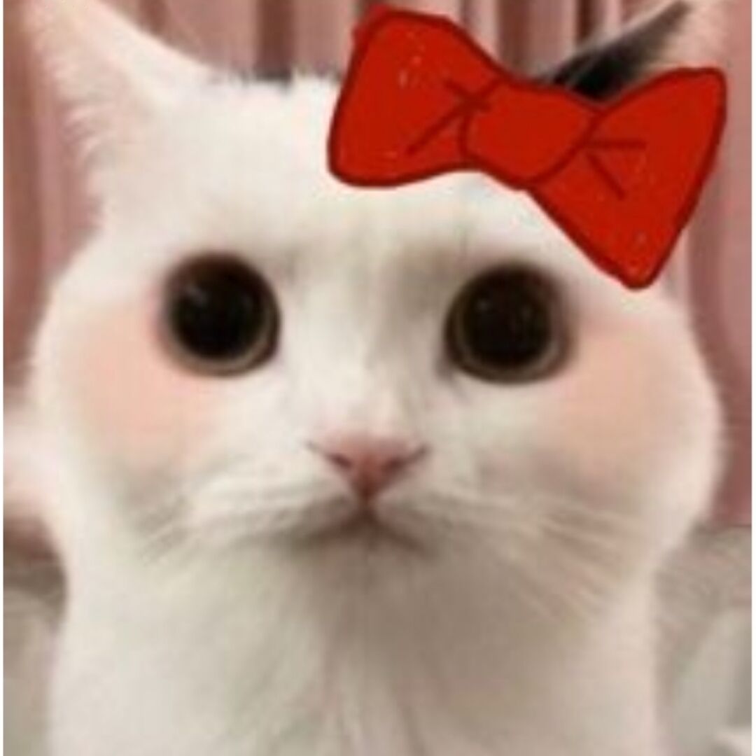 qq_。。。44