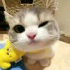 baige-【TITAIKE】T太科网
