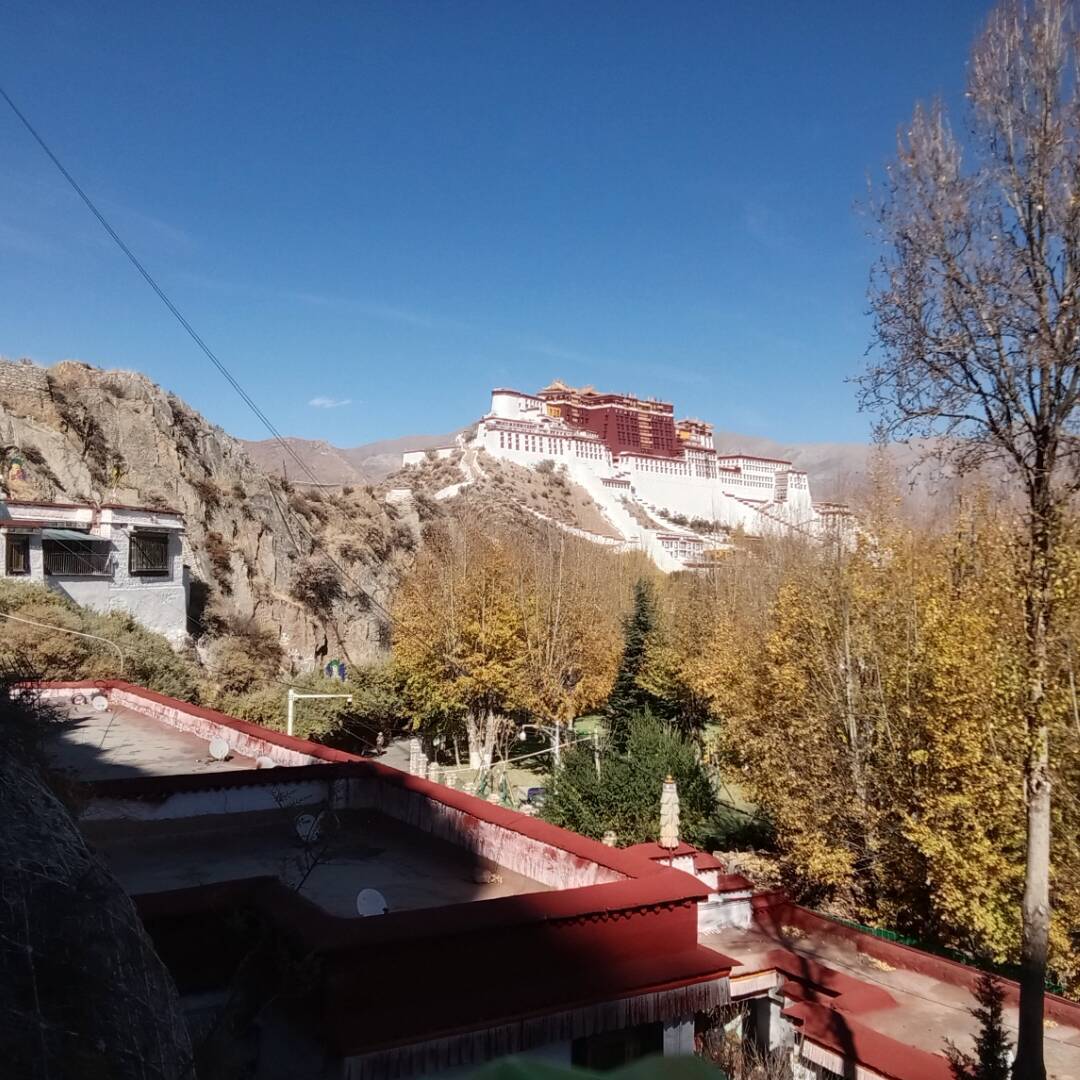 qq_བོད་པའི་བུ་མོ།69