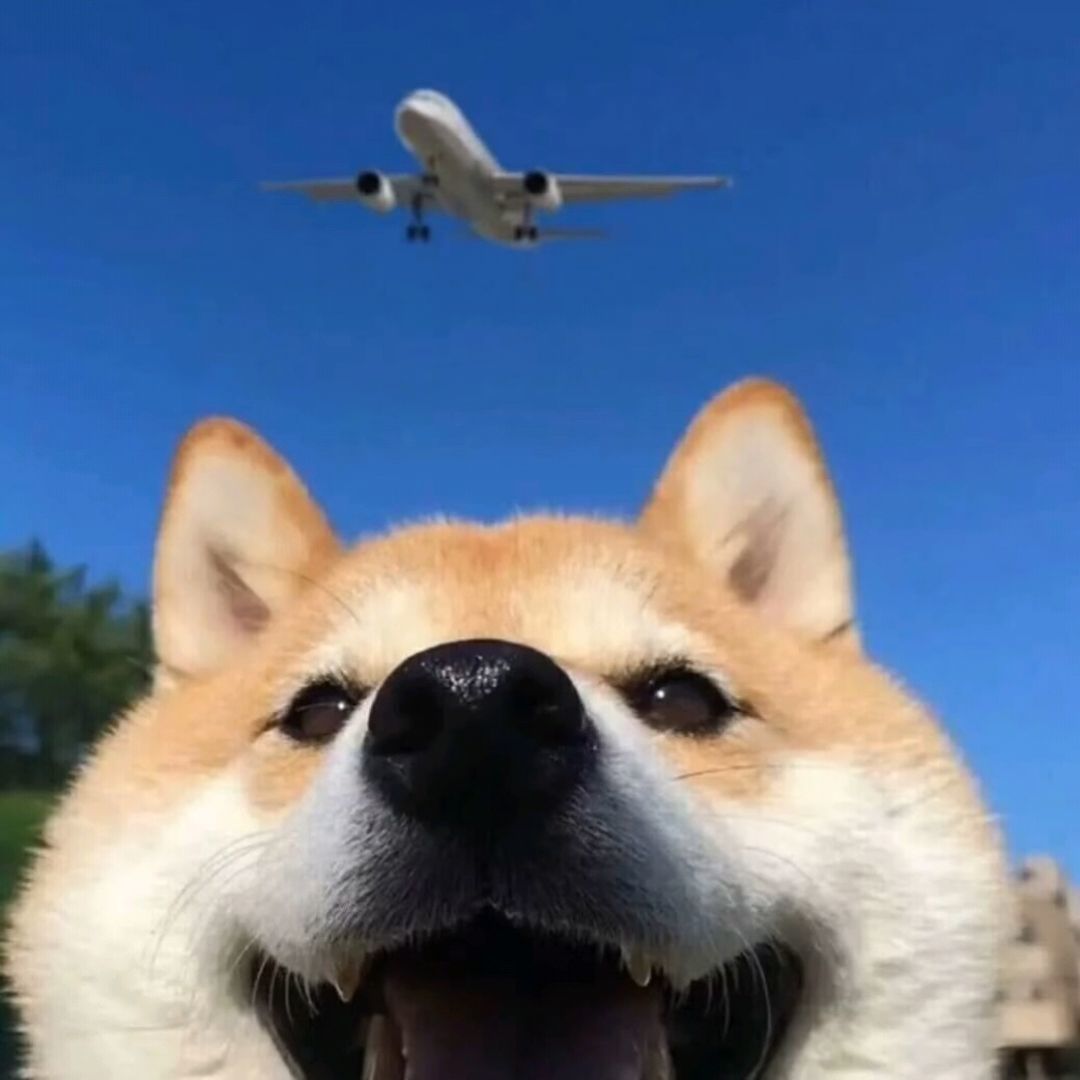 qq_轟.46