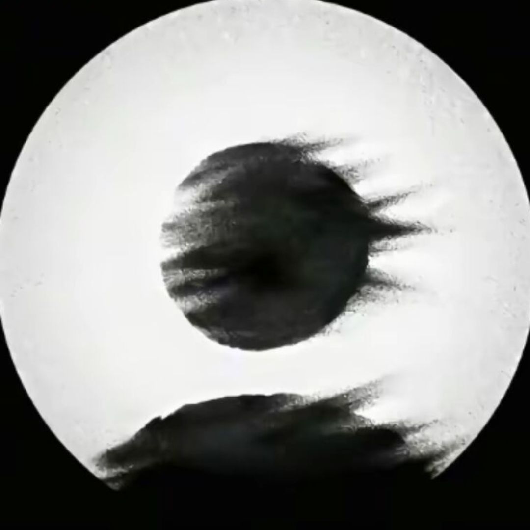 qq_Y.17