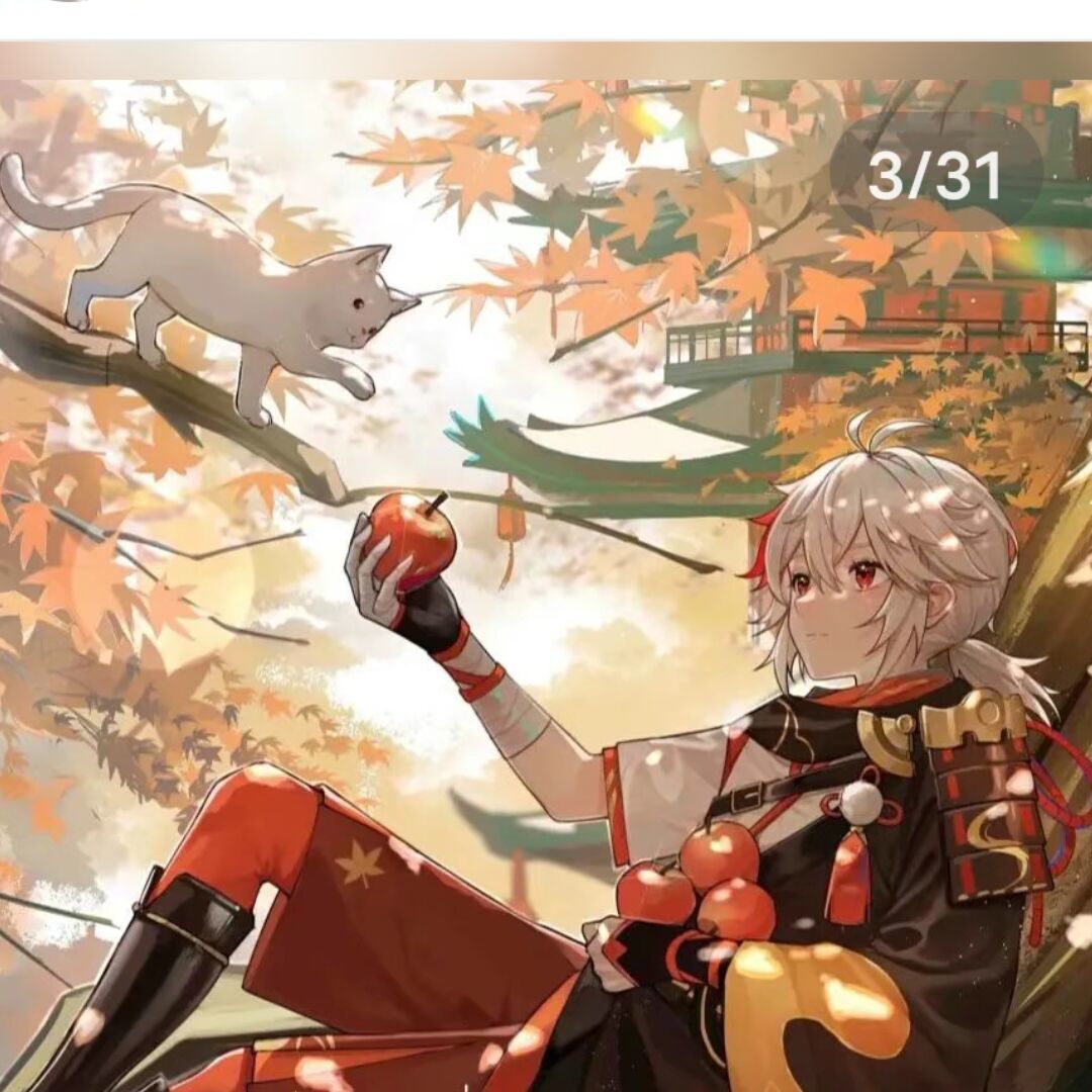 用户头像