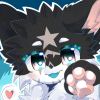🐾星墨🐾