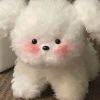 yueQ-【TITAIKE】T太科网
