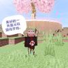 lzy123451876-【TITAIKE】T太科网