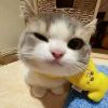 反杀闰土的猹-【TITAIKE】T太科网