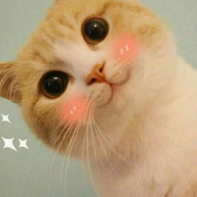 qq_沉默是金19