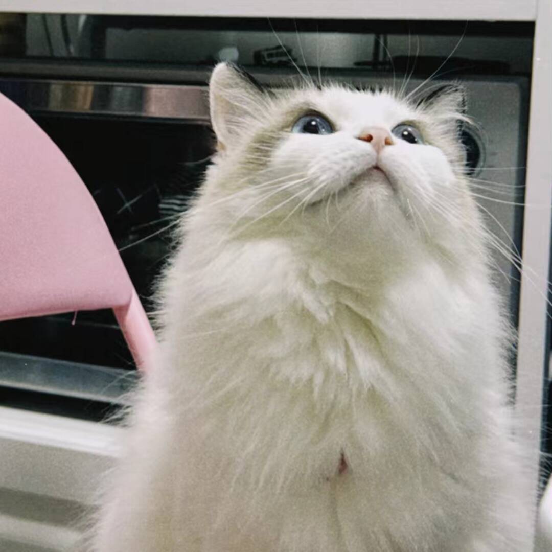 qq_田七67