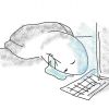 宗真帅-【TITAIKE】T太科网