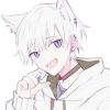 yyyqqqqllll-【TITAIKE】T太科网
