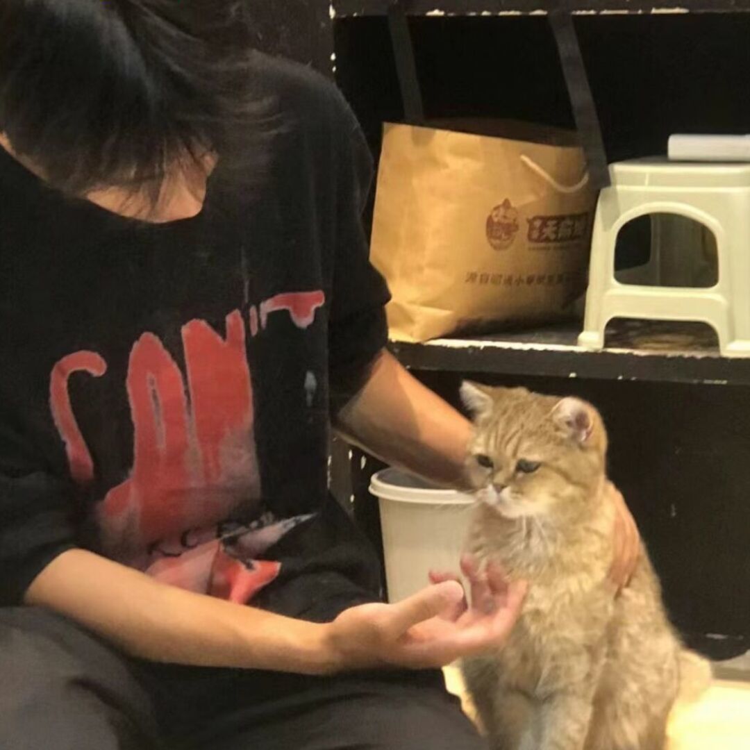 qq_鱼 恋 海12