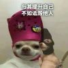 全息男孩-【TITAIKE】T太科网