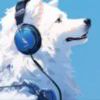 REACH-【TITAIKE】T太科网