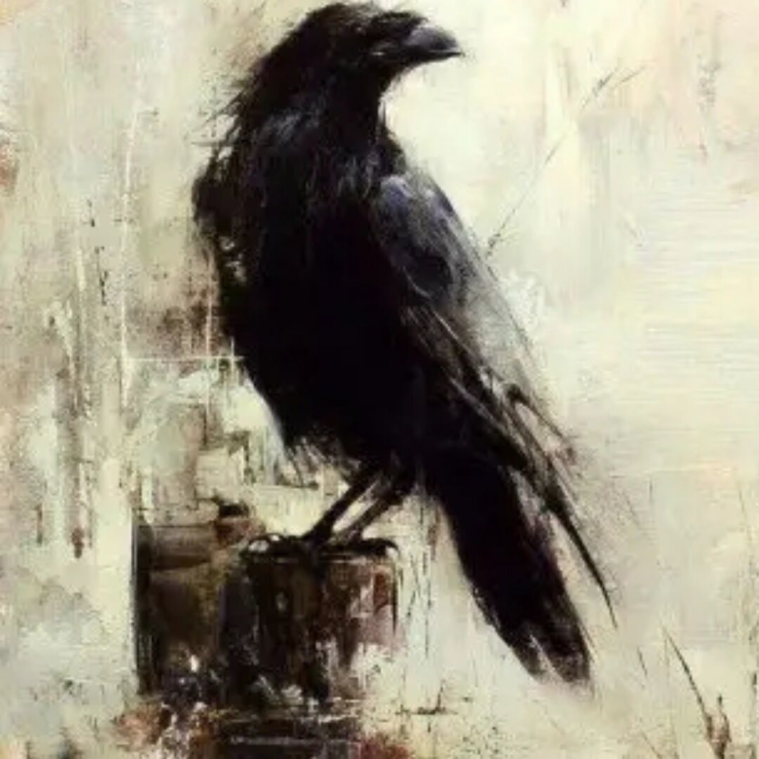 qq_Ø91