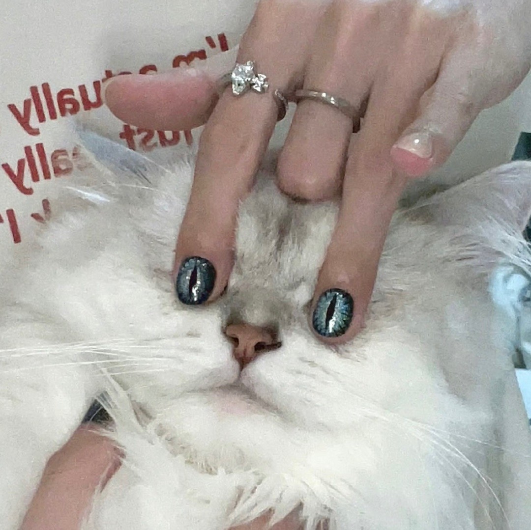 qq_野生97781