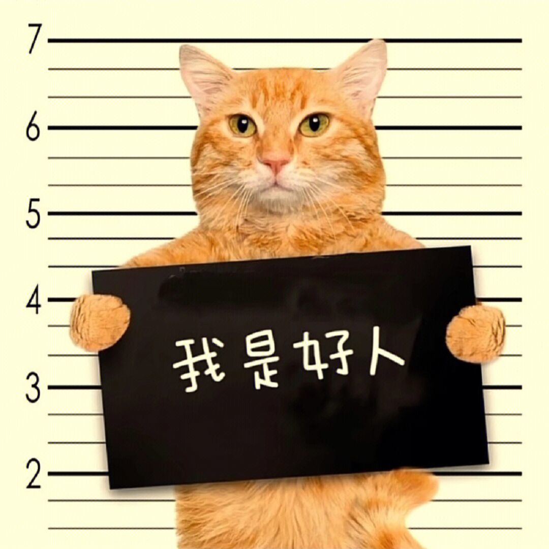 qq_绅刃92