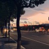 小雅