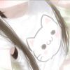wxp666-【TITAIKE】T太科网