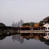 zid-