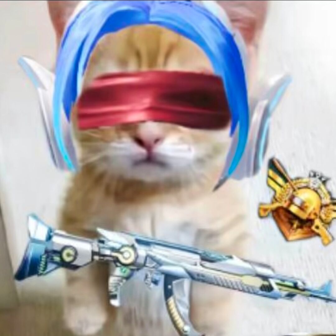 qq_…43