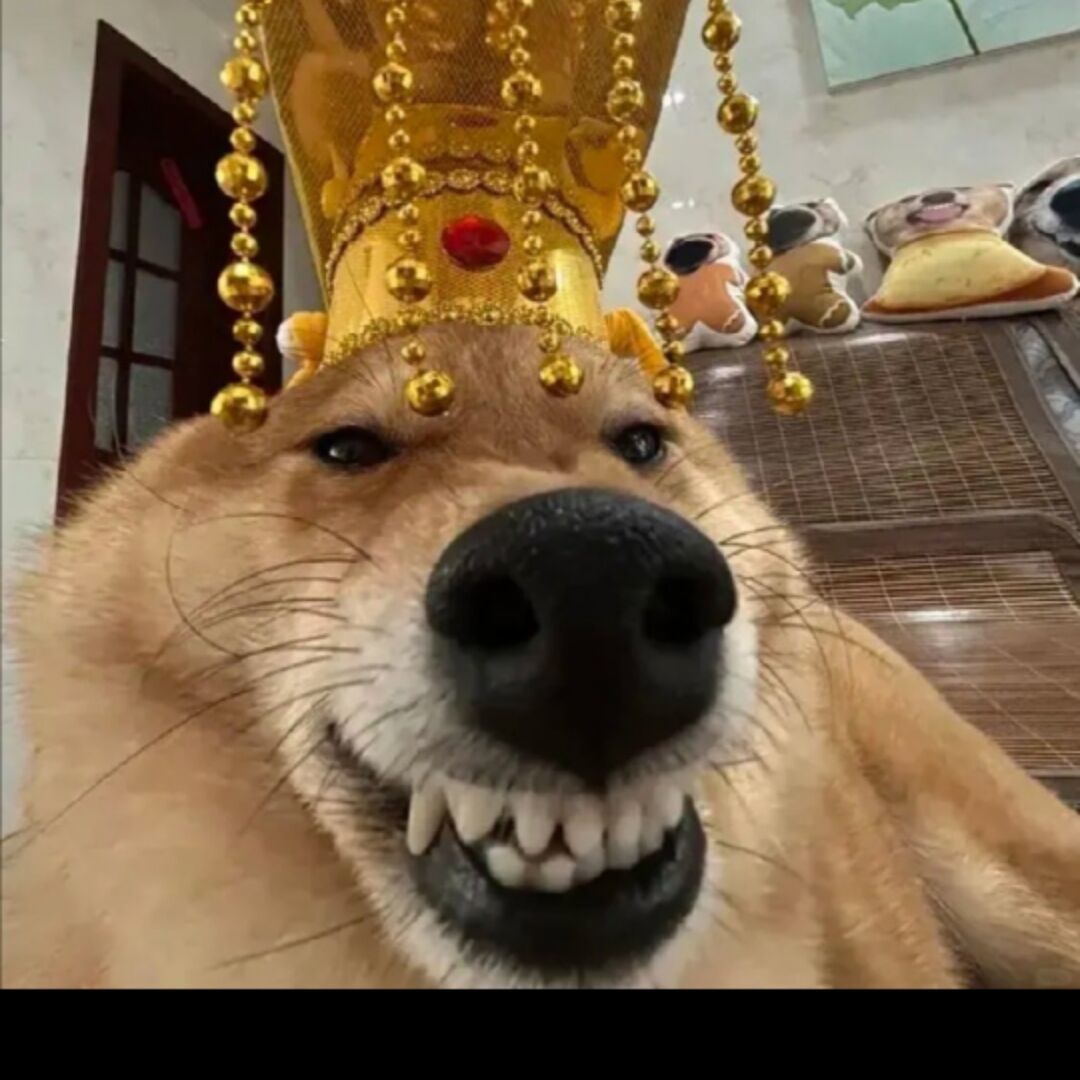 qq_努力大于一切92