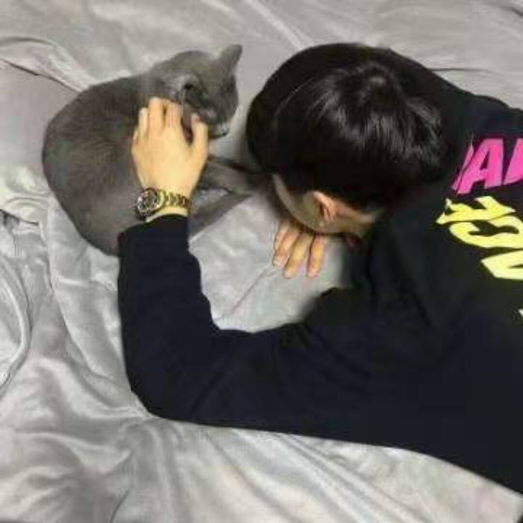qq_ZissZ⁹60