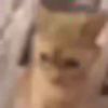 nomhkhhjhjyhkouhki-【TITAIKE】T太科网