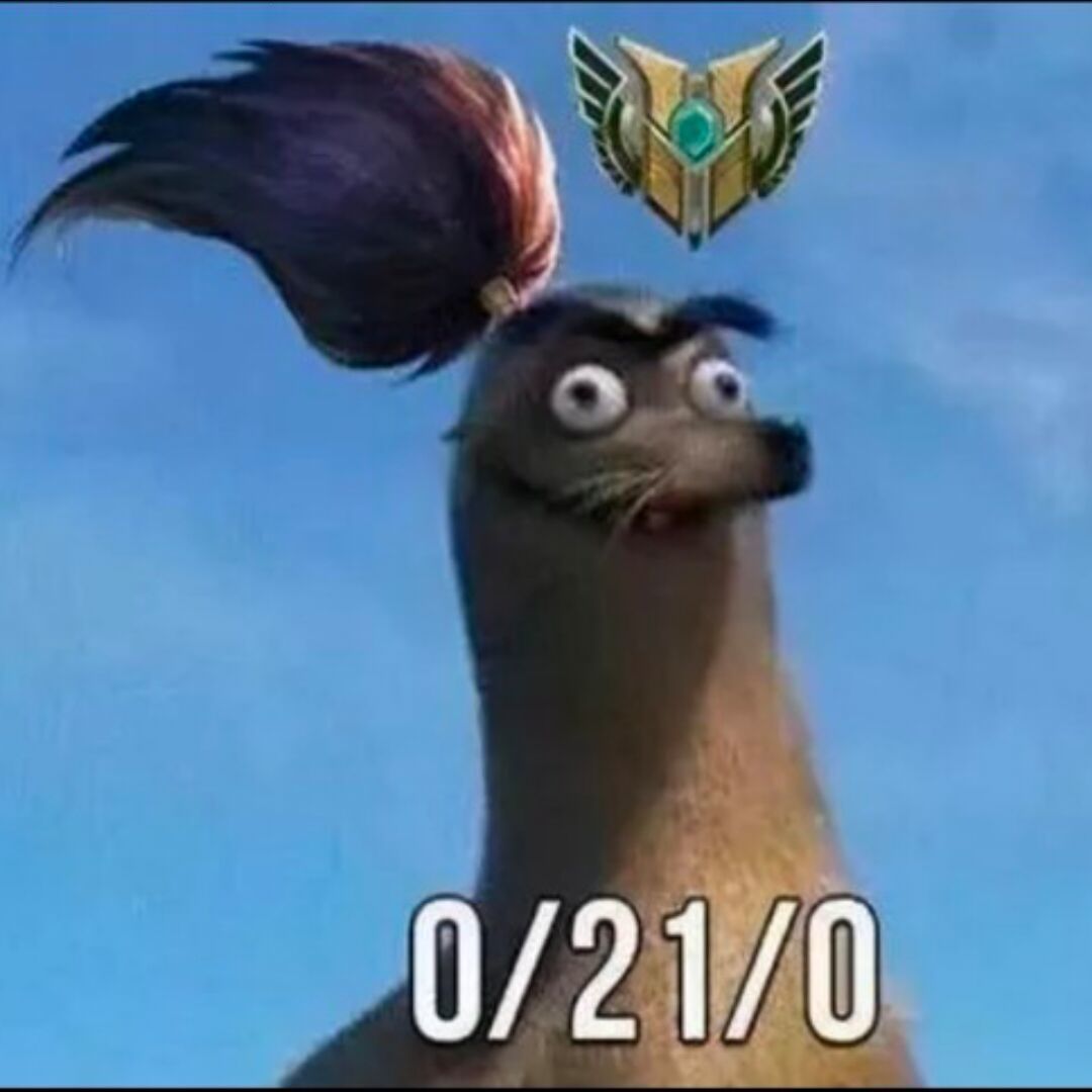 qq_.66