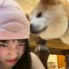 123456.a - 极核GetShell