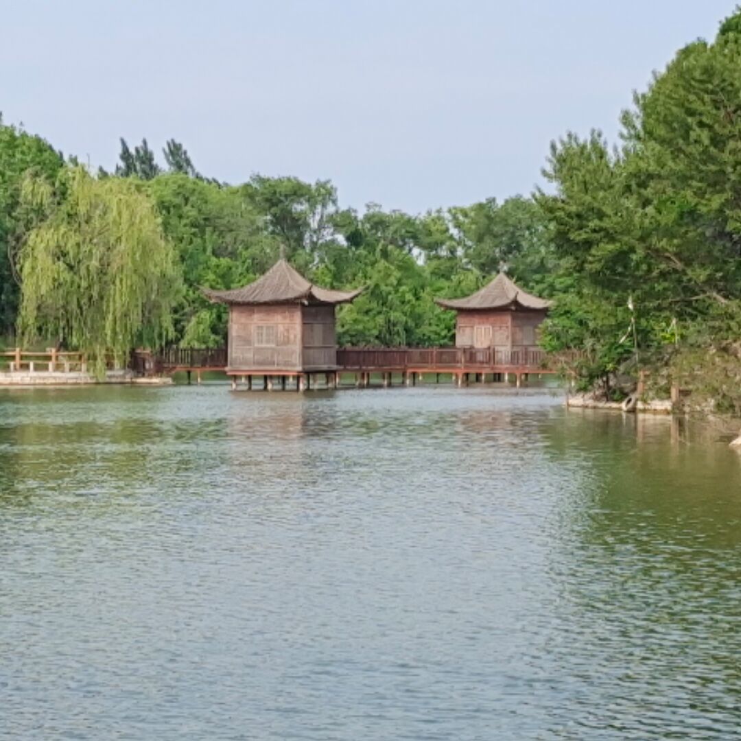 北梦木兮