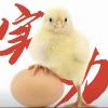 LSAY-【TITAIKE】T太科网