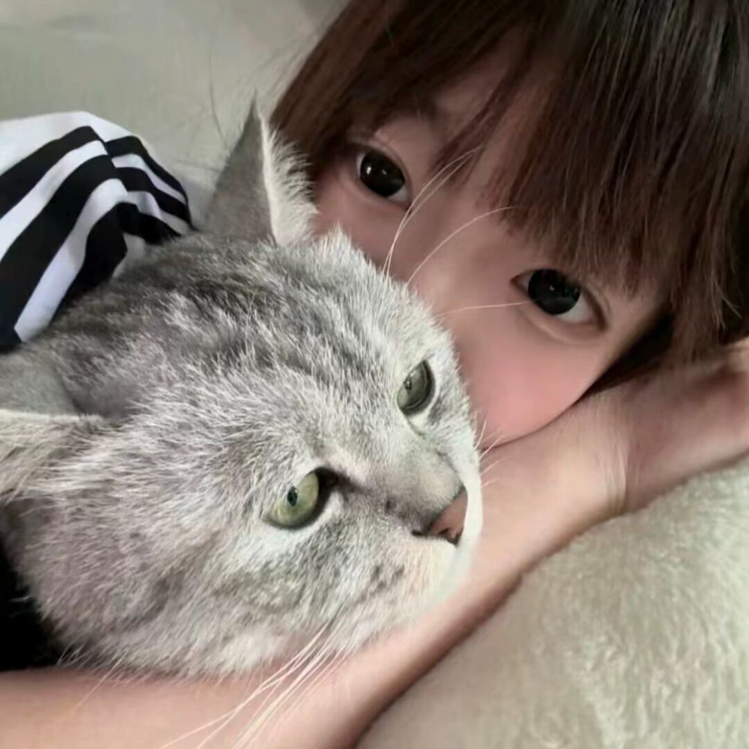 用户头像