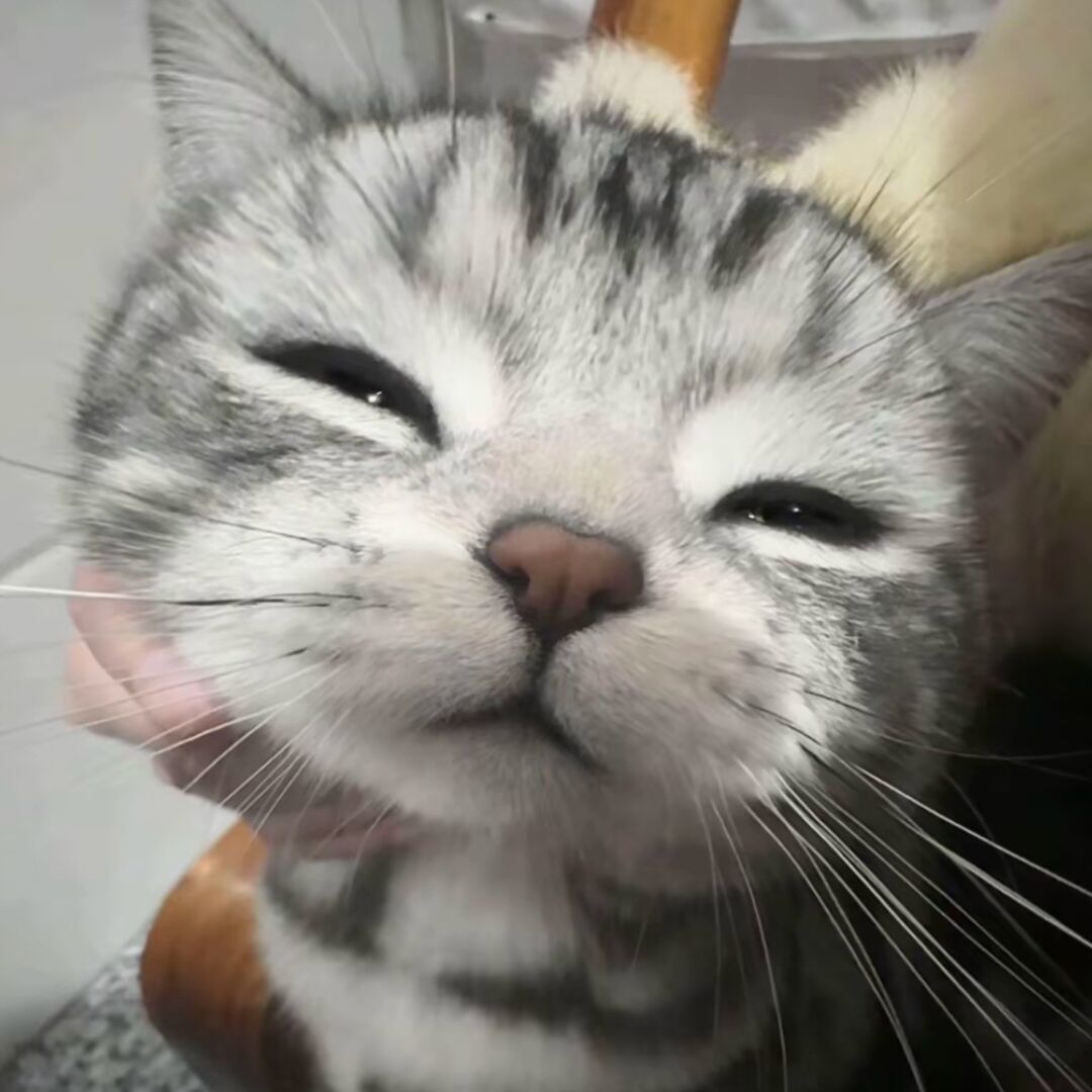 qq_。11