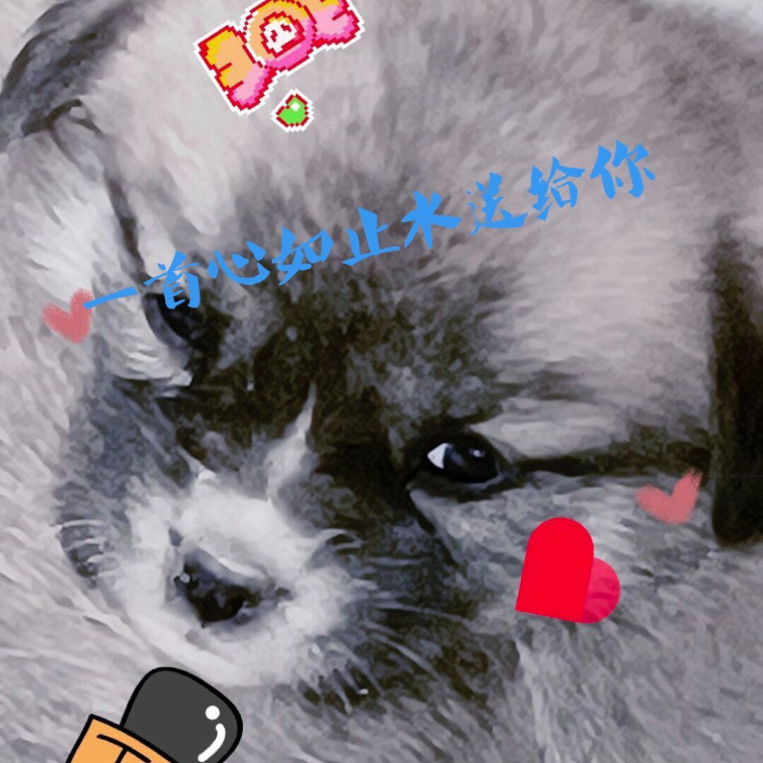 qq_皇家小天才天宇90
