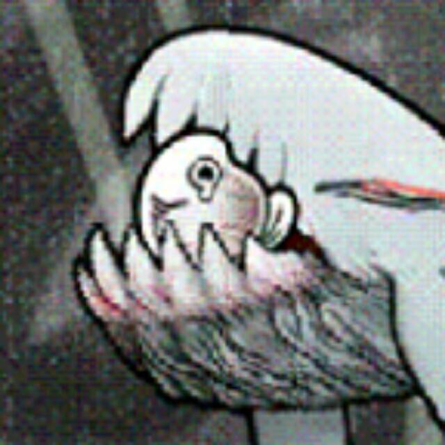 qq_隨緣17