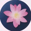 tuffkotte-【TITAIKE】T太科网
