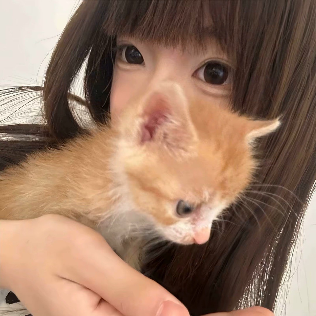 qq_林87