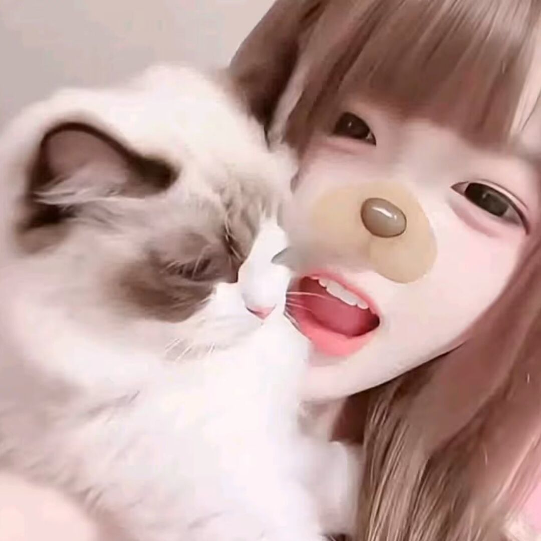 qq_LLL.81