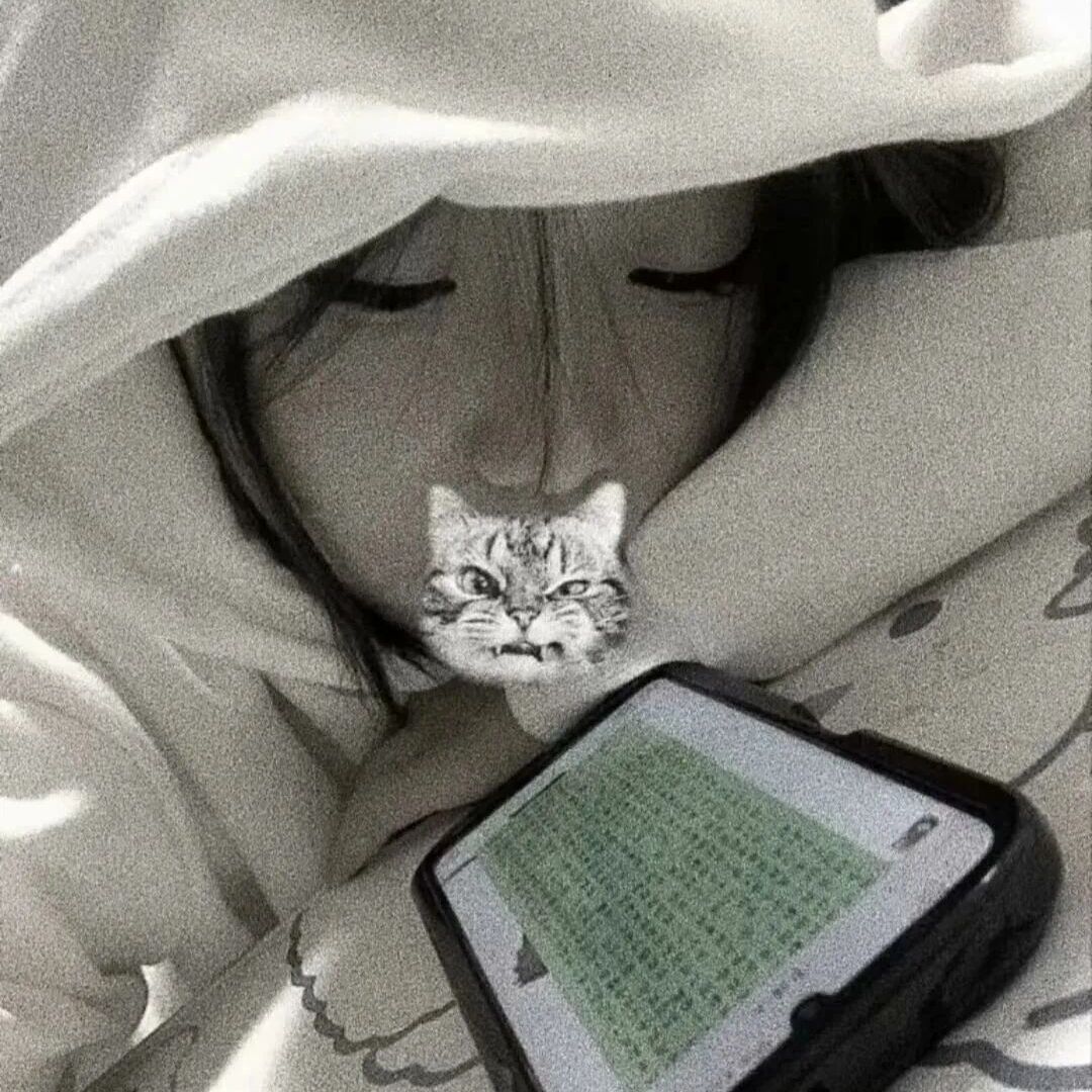 qq_妳的佳23