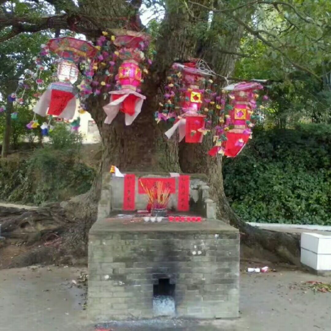 qq_辉煌人生56