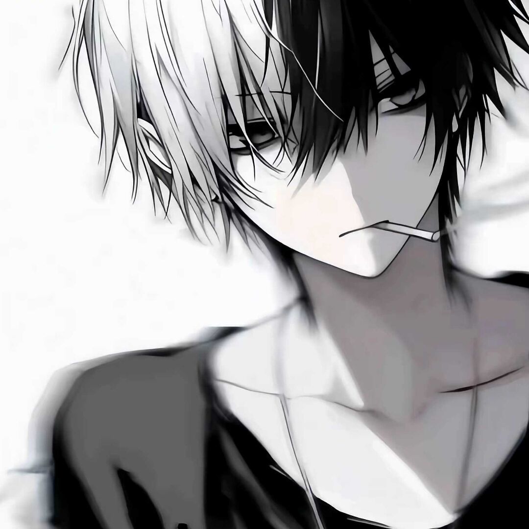 qq_Annie22